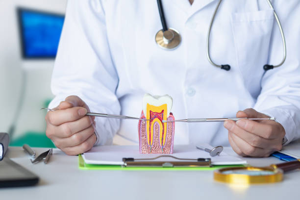 Best Knocked-Out Tooth Emergency  in Ballwin, MO